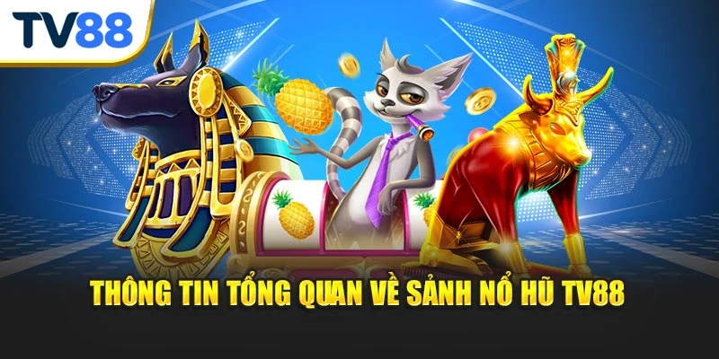 Thông tin tổng quan về sảnh nổ hũ TV88